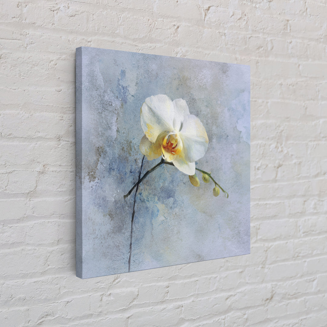 White Orchid on Stone Background Framed Canvas Print, Dental Office Art, Dental Gift, Office Decor, Abstract Art, Calm, DOA-1x1-84