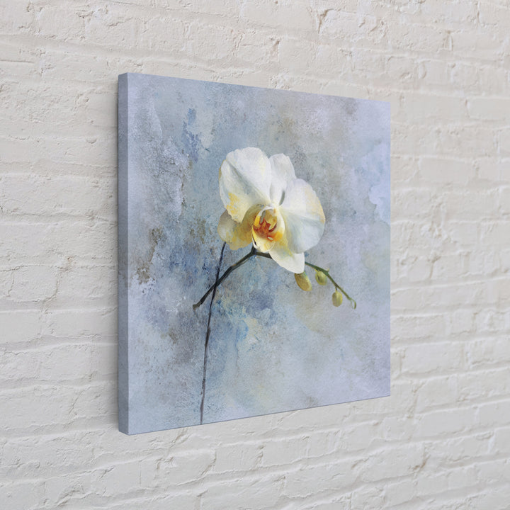 White Orchid on Stone Background Framed Canvas Print, Dental Office Art, Dental Gift, Office Decor, Abstract Art, Calm, DOA-1x1-84