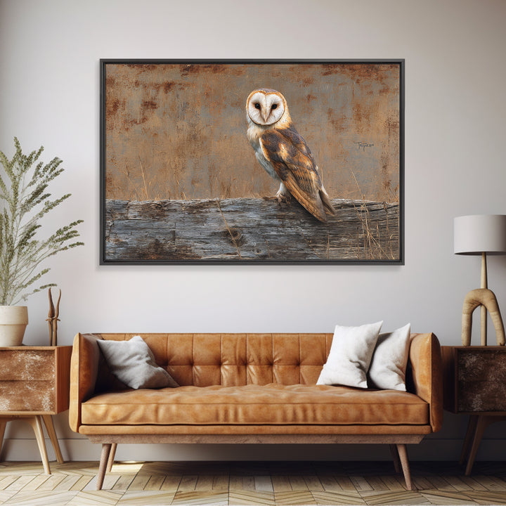 Barn Owl Perched on Aged Wood Framed Canvas Print, Farmhouse Art, Minimalist Decor, Farmhouse Decor, Fine Art, Harvest, FAR-3x2-99