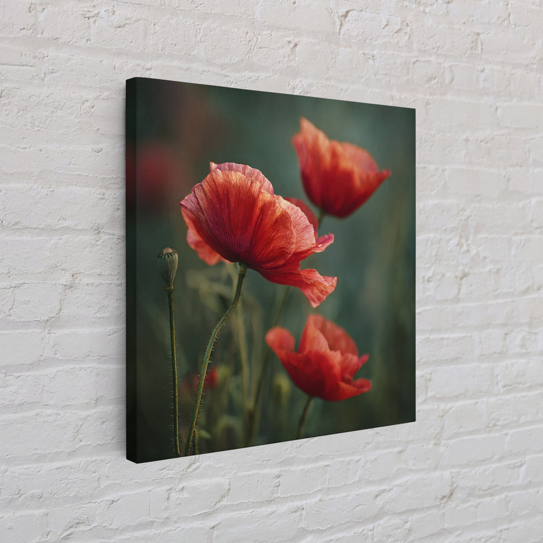 Poppy Field with Red Petals and Green Framed Canvas Print, Floral Art, Gallery Decor, Living Room Decor, Fine Art, Bloom, FLO-1x1-32