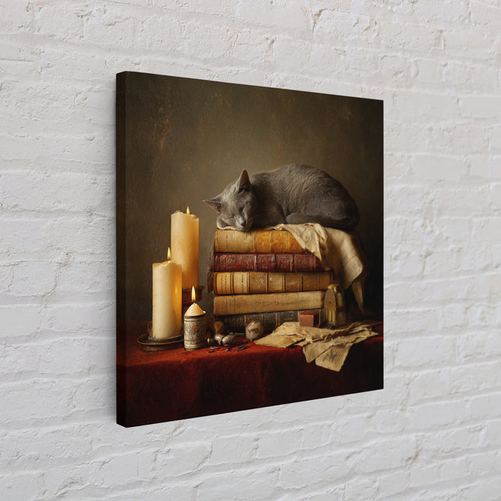 Cat Sleeping on a Book Stack Canvas Print, Library Art, Moody Wall Art, Library Decor, Fine Art, Archive, Gallery Decor, LIB-1x1-31