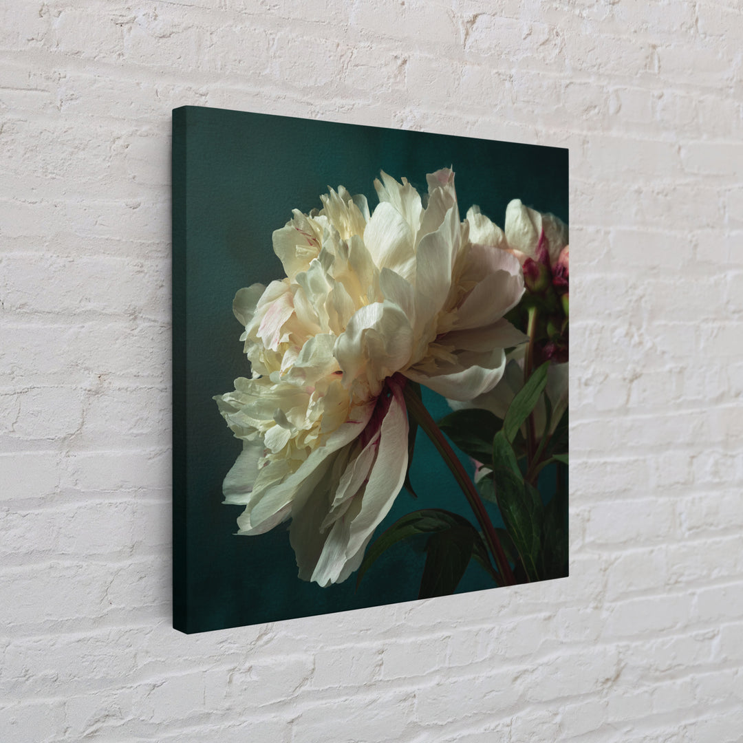 Romantic Neutral Peony Closeup Canvas Print, Master Bedroom, Vinyl Wall Decal, Bedroom Decor, Fine Art, Sanctuary, MAS-1x1-26