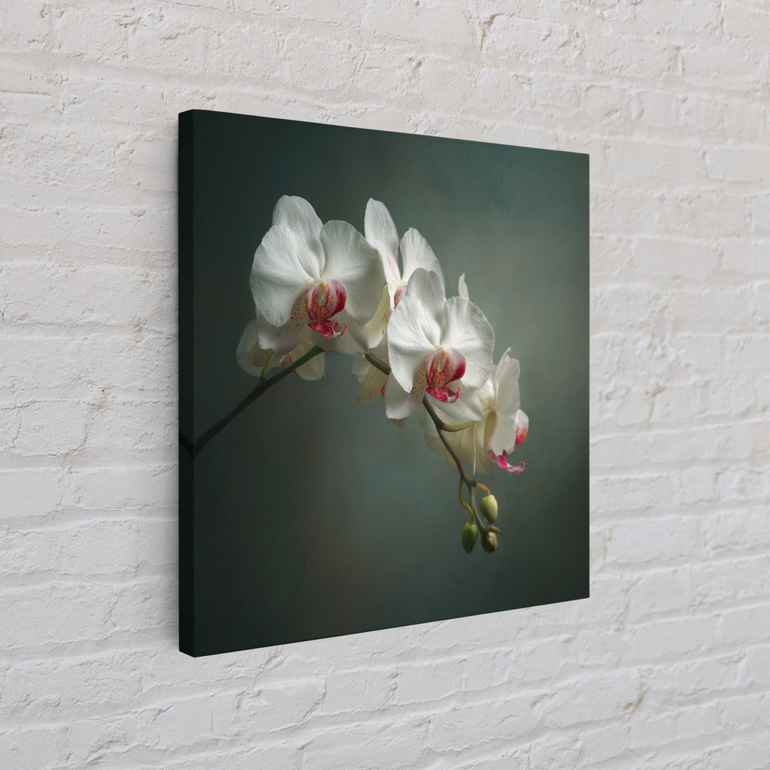 White Orchids Against Warm Gray Background Framed Canvas Print, Master Bedroom, Bedroom Decor, Abstract Art, Sanctuary, MAS-1x1-57