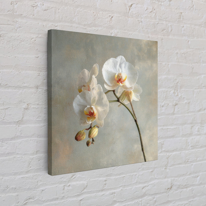 White Orchids Against Warm Gray Background Canvas Print, Master Bedroom, Art Print, Bedroom Decor, Fine Art, Sanctuary, MAS-1x1-81