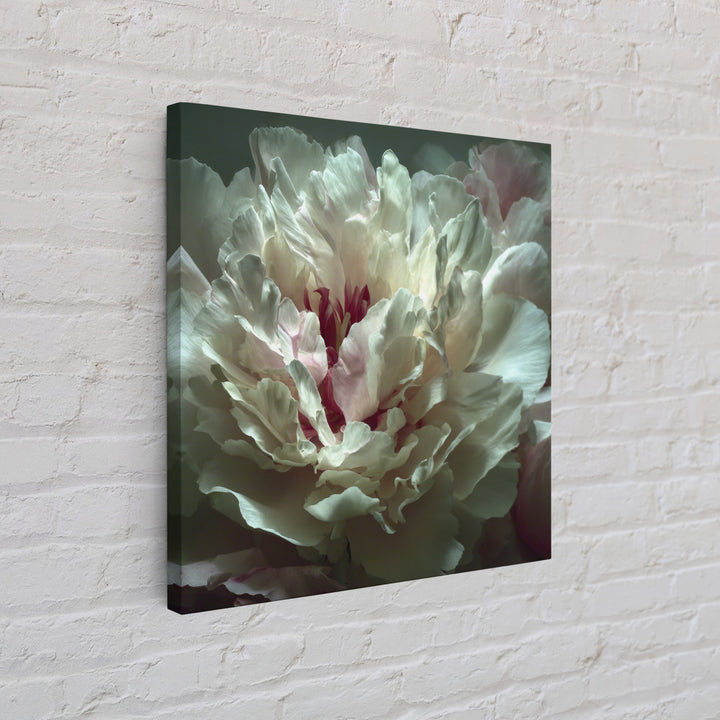 Romantic Neutral Peony Closeup Canvas Print, Master Bedroom, Textured Painting, Bedroom Decor, Fine Art, Sanctuary, Wall Decal, MAS-1x1-98