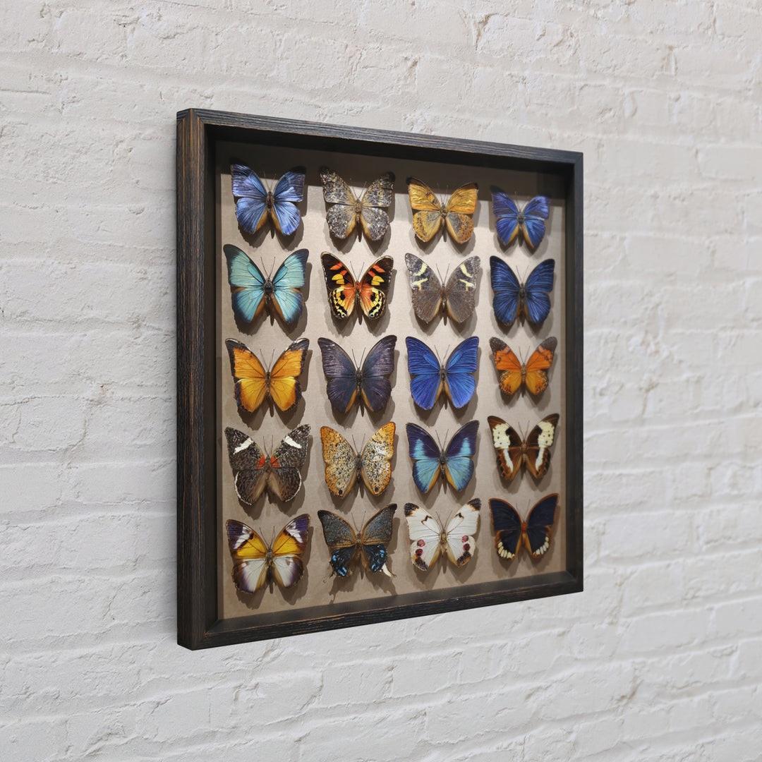 Framed Butterfly Collection Canvas Print, Maximalist Art, Fine Art Print, Living Room Decor, Fine Art, Maximal, Digital Prints, MAX-1x1-95