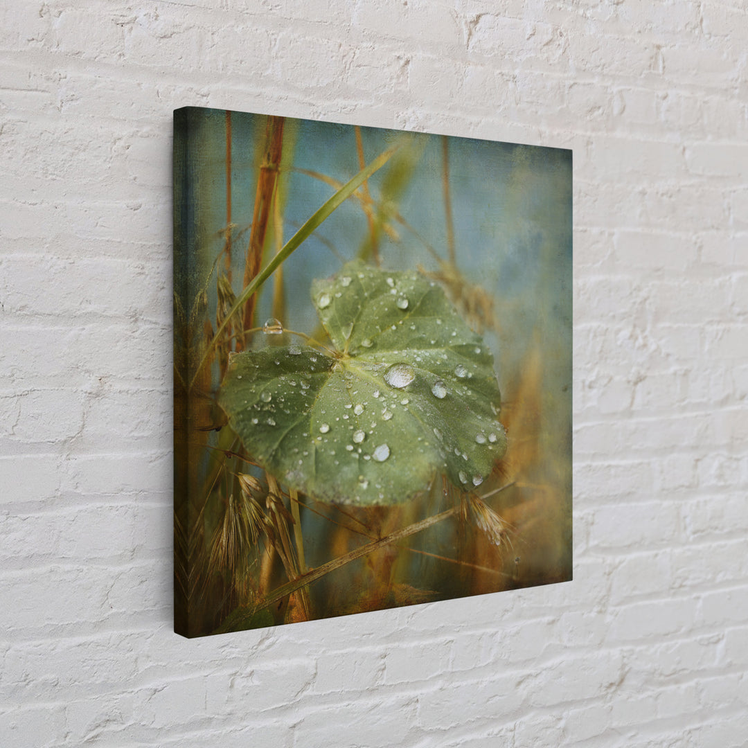 Rain Drops on a Large Green Leaf Framed Canvas Print, Nature Art, Statement Artwork, Living Room Decor, Fine Art, Nature, NAT-1x1-57