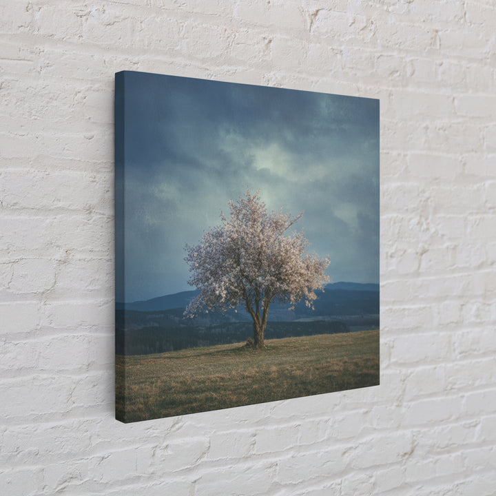 Spring Cherry Blossoms Framed Canvas Print, Nature Art, Modern Wall Art, Living Room Decor, Fine Art, Nature, Mountain Art, NAT-1x1-64