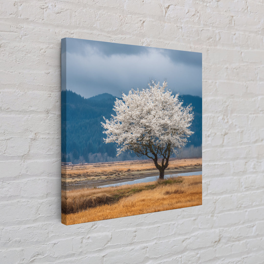 Spring Cherry Blossoms Framed Canvas Print, Nature Art, Textured Painting, Living Room Decor, Fine Art, Nature, NAT-1x1-88