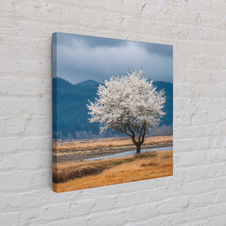 Spring Cherry Blossoms Framed Canvas Print, Nature Art, Textured Painting, Living Room Decor, Fine Art, Nature, NAT-1x1-88