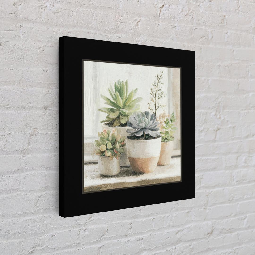Succulent Collection in Ceramic Planters Framed Canvas Print, Patio Art, Mixed Media Art, Patio Decor, Fine Art, Outdoor, PAT-1x1-21