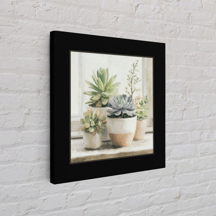 Succulent Collection in Ceramic Planters Framed Canvas Print, Patio Art, Mixed Media Art, Patio Decor, Fine Art, Outdoor, PAT-1x1-21