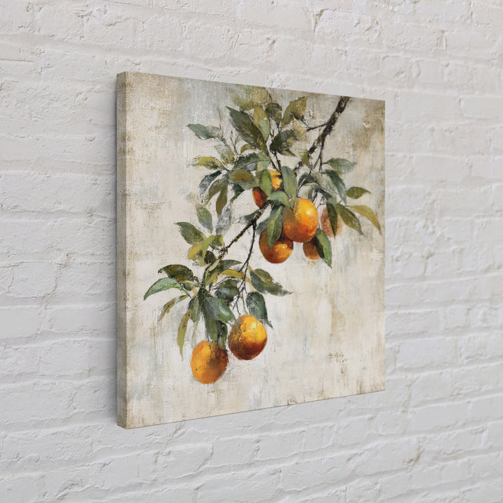 Orange Tree Branch Canvas Print, Patio Art, Coastal Wall Decor, Patio Decor, Fine Art, Outdoor, Gallery Decor, Neutral Decor, PAT-1x1-22