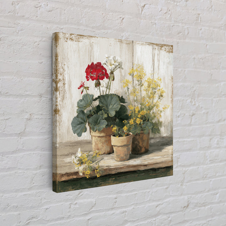 Potted Geraniums in Rustic Clay Pots Framed Canvas Print, Patio Art, Family Wall Art, Patio Decor, Fine Art, Outdoor, PAT-1x1-38