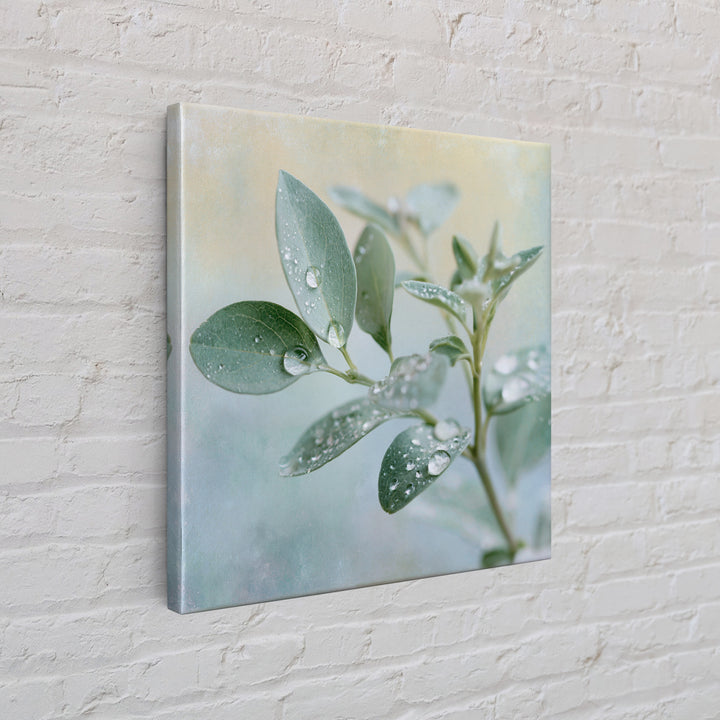 Rain on Leaves Framed Canvas Print, Spa Art, Art Print, Spa Decor, Serenity, Botanical Art, Nature Prints, Travel Poster, SPA-1x1-40
