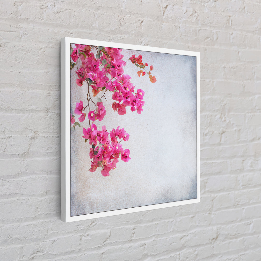 Pink Bougainvillea over White Wall Framed Canvas Print, Tropical Art, Room Decor, Living Room Decor, Fine Art, Tropic, TRO-1x1-40
