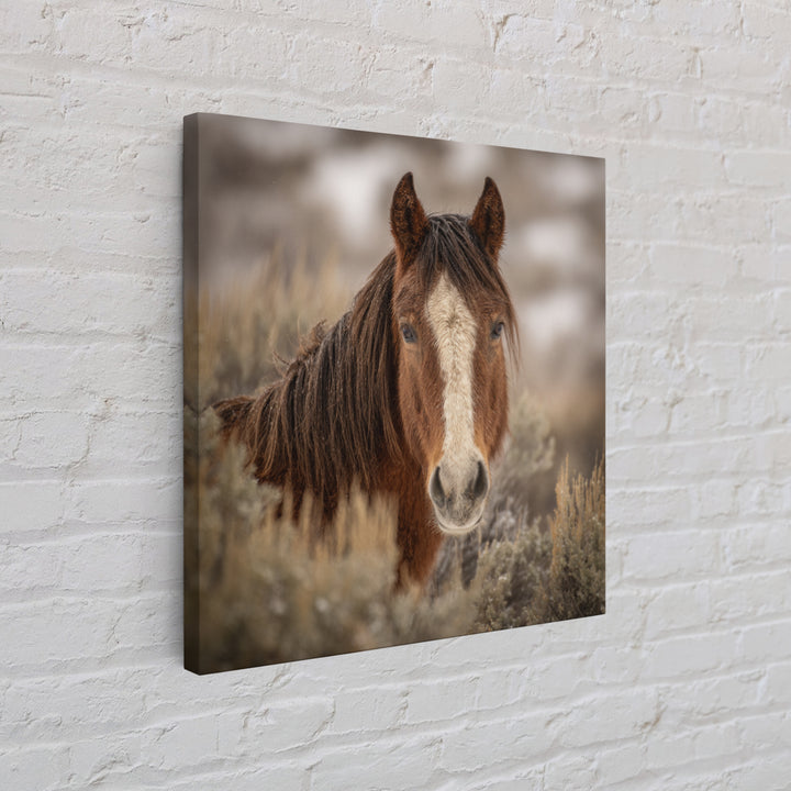 Wild Horse Portrait Framed Canvas Print, Wall Art, Boho Decor, Living Room Decor, Fine Art, Painting, Art Print, WAL-1x1-37