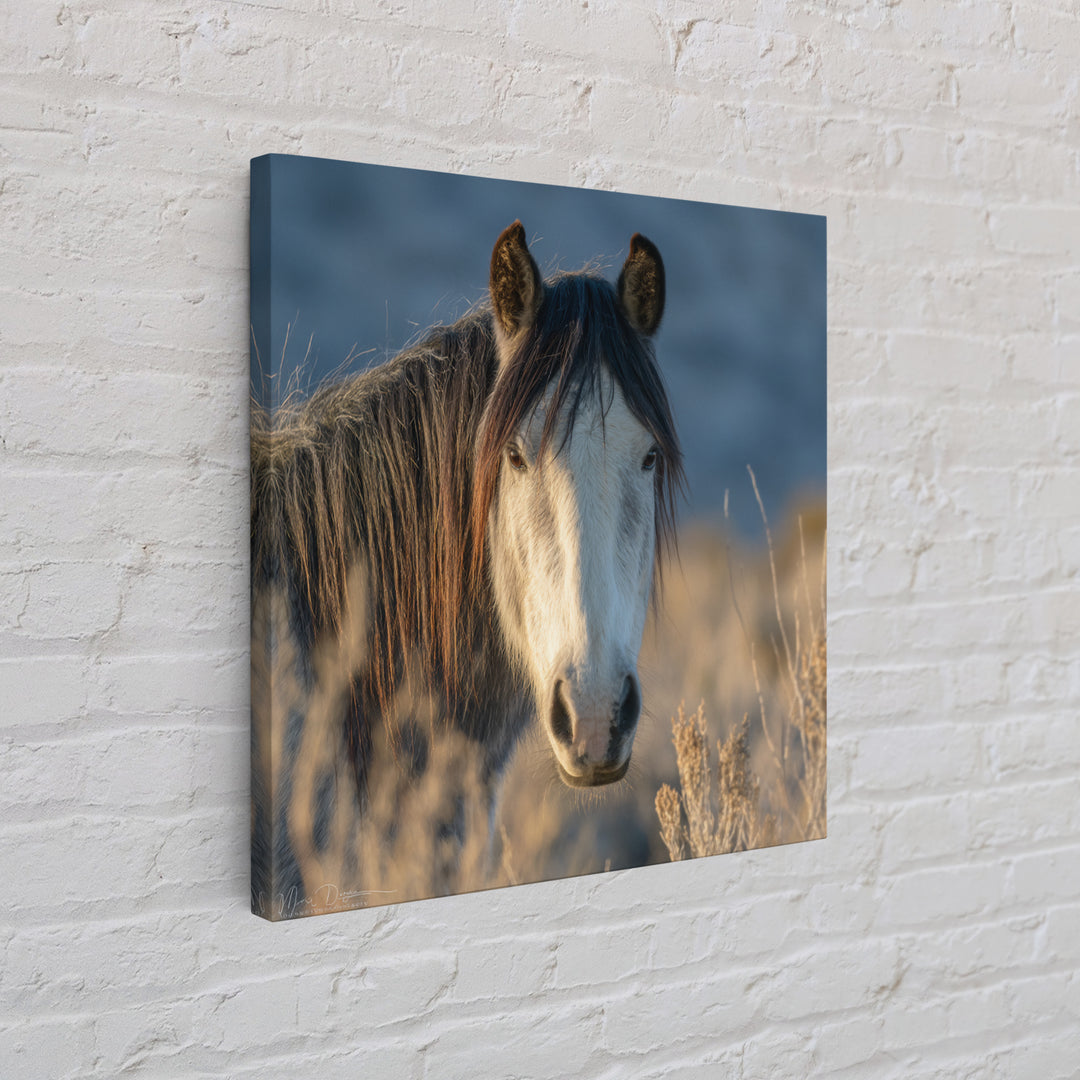 Wild Horse Portrait Framed Canvas Print, Wall Art, Boho Decor, Living Room Decor, Fine Art, Painting, Art Print, WAL-1x1-61