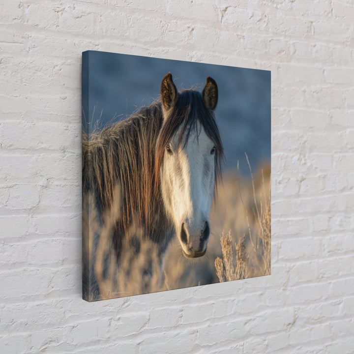 Wild Horse Portrait Framed Canvas Print, Wall Art, Boho Decor, Living Room Decor, Fine Art, Painting, Art Print, WAL-1x1-61