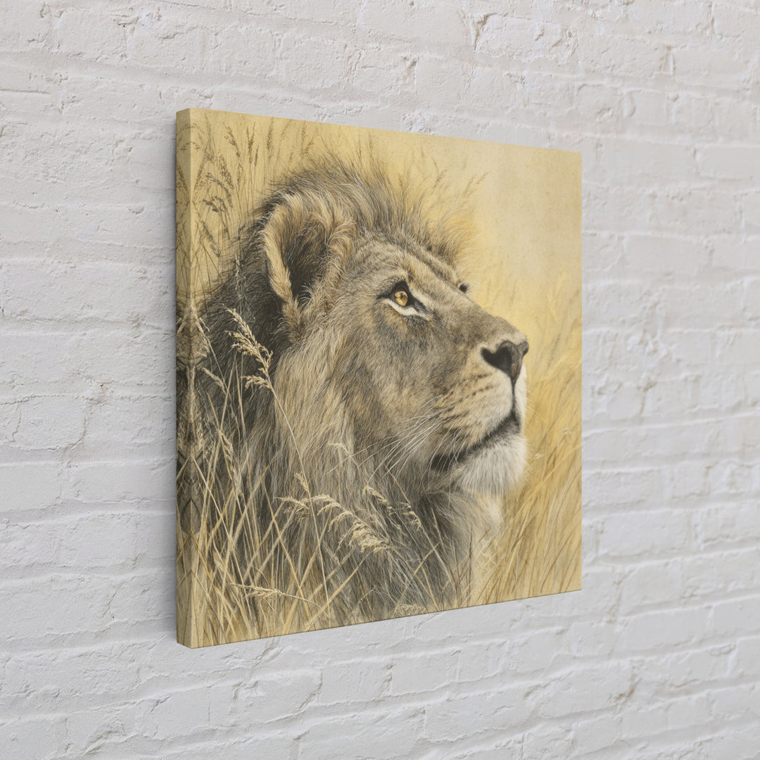 Lion Emerging from Golden Savanna Grass Framed Canvas Print, Wildlife Art, Rustic Home Decor, Living Room Decor, Fine Art, Wild, WIL-1x1-1