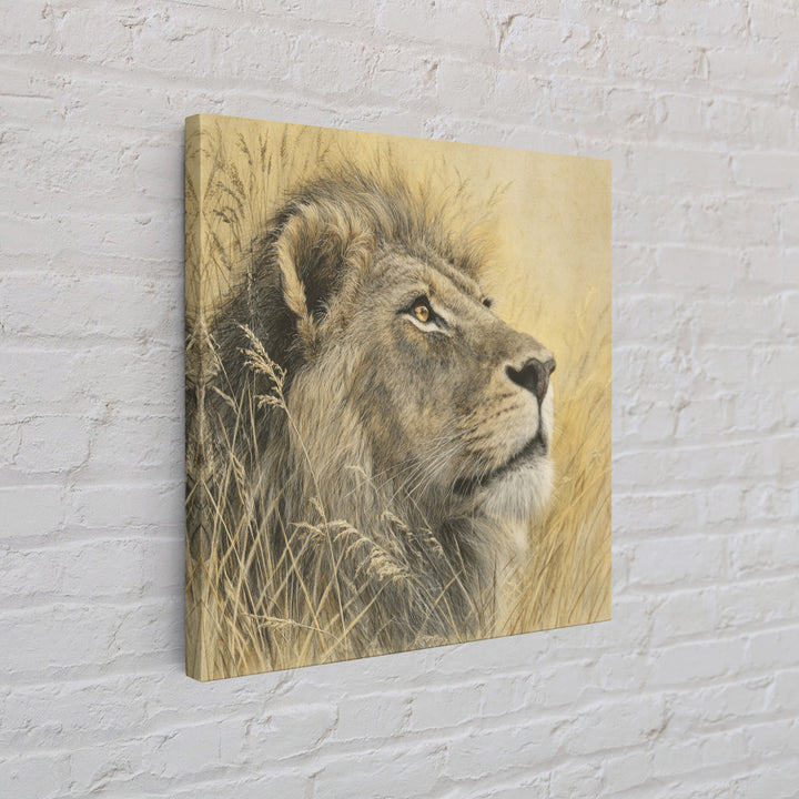 Lion Emerging from Golden Savanna Grass Framed Canvas Print, Wildlife Art, Rustic Home Decor, Living Room Decor, Fine Art, Wild, WIL-1x1-1
