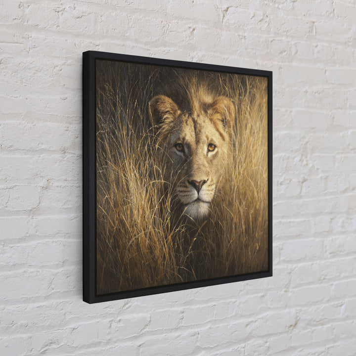 Lion Emerging from Golden Savanna Grass Canvas Print, Wildlife Art, Modern Decor, Living Room Decor, Fine Art, Wild, Home Decor, WIL-1x1-49