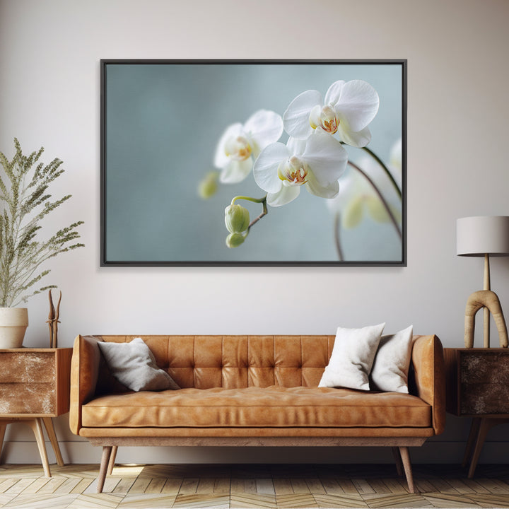 White Orchid on Light Gray Ground Canvas Print, Waiting Room Art, Digital Art Print, Waiting Room Decor, Fine Art, Calm, WRA-3x2-11