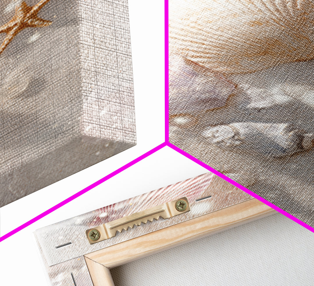 Pastel Seashells And Starfish Canvas Print, Coastal Wall Art, Beach House Decor, Ocean Bathroom Art, Gift For Her, Nautical Decor