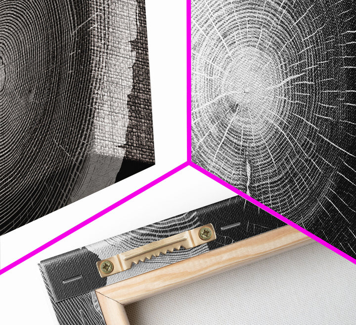 Tree Ring Prints, Lake House Large Wall Art, Boho Art, Minimalist, Farmhouse Art