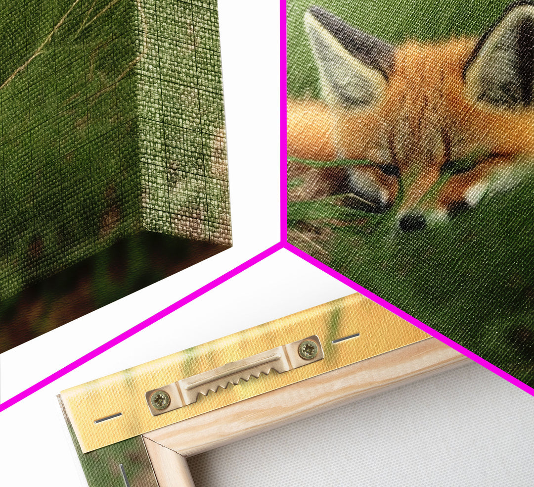 Cute Sleeping fox Framed Canvas Wall Art, Canvas Print Decor for Home & Office Decoration Canvas Ready to Hang