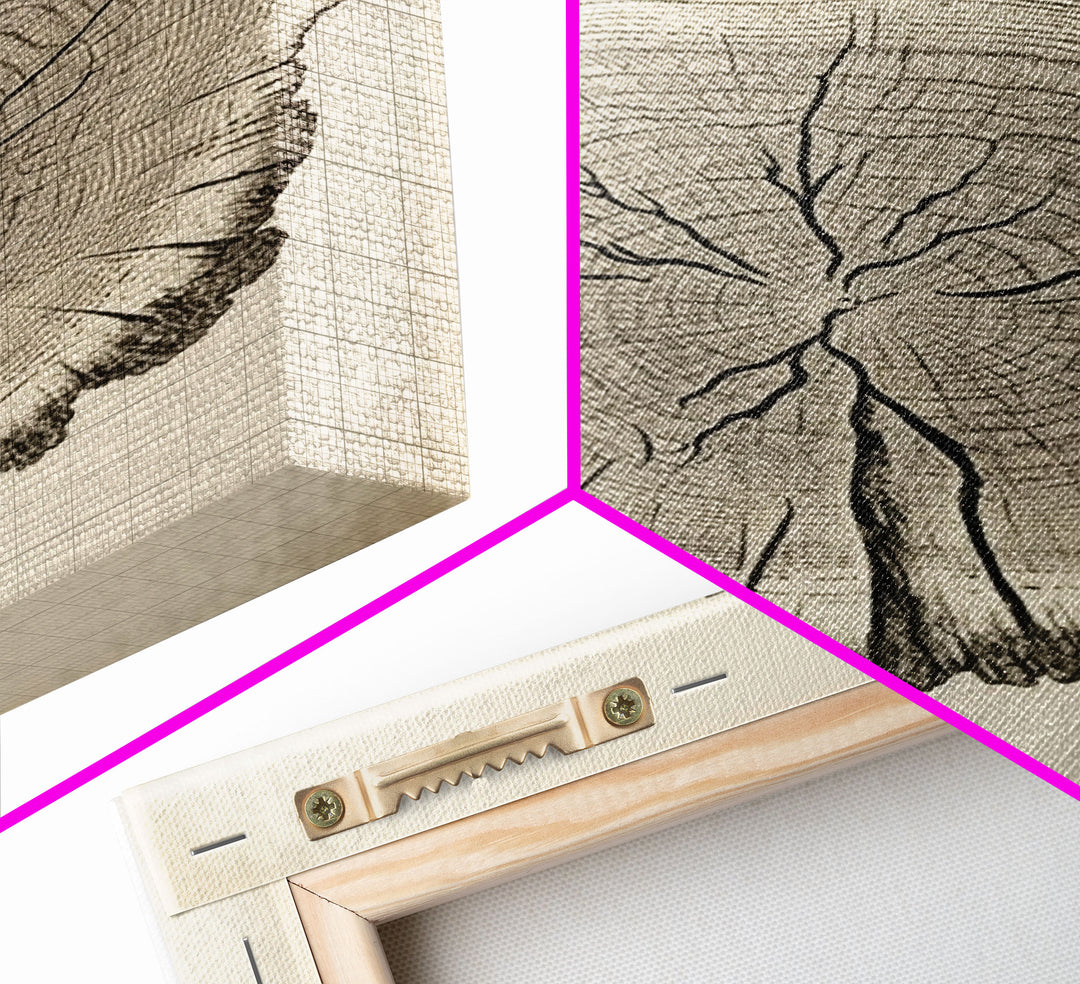 Framed Wall Art Canvas Print, Tree Cross Section, Tree Rings, Rustic Art, Farmhouse Decor, Oak Wood Tree Rings, Illustration, Gift For Him