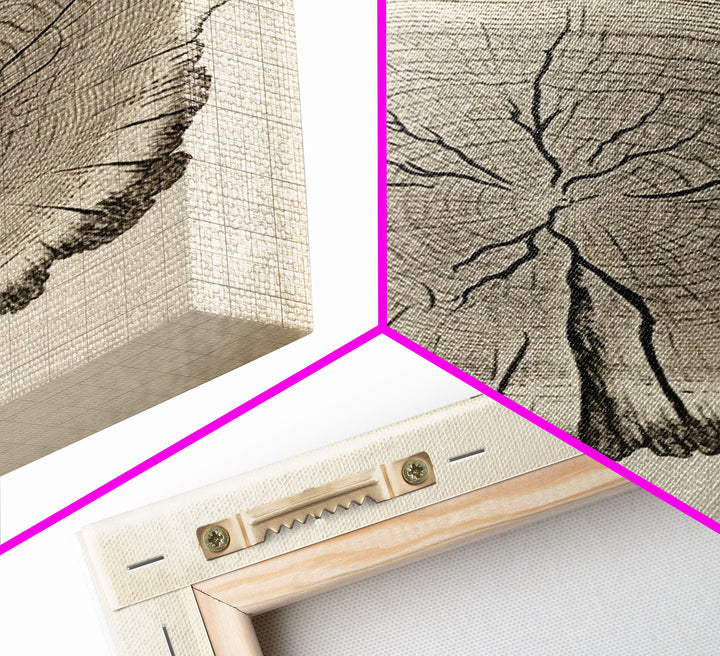 Framed Wall Art Canvas Print, Tree Cross Section, Tree Rings, Rustic Art, Farmhouse Decor, Oak Wood Tree Rings, Illustration, Gift For Him