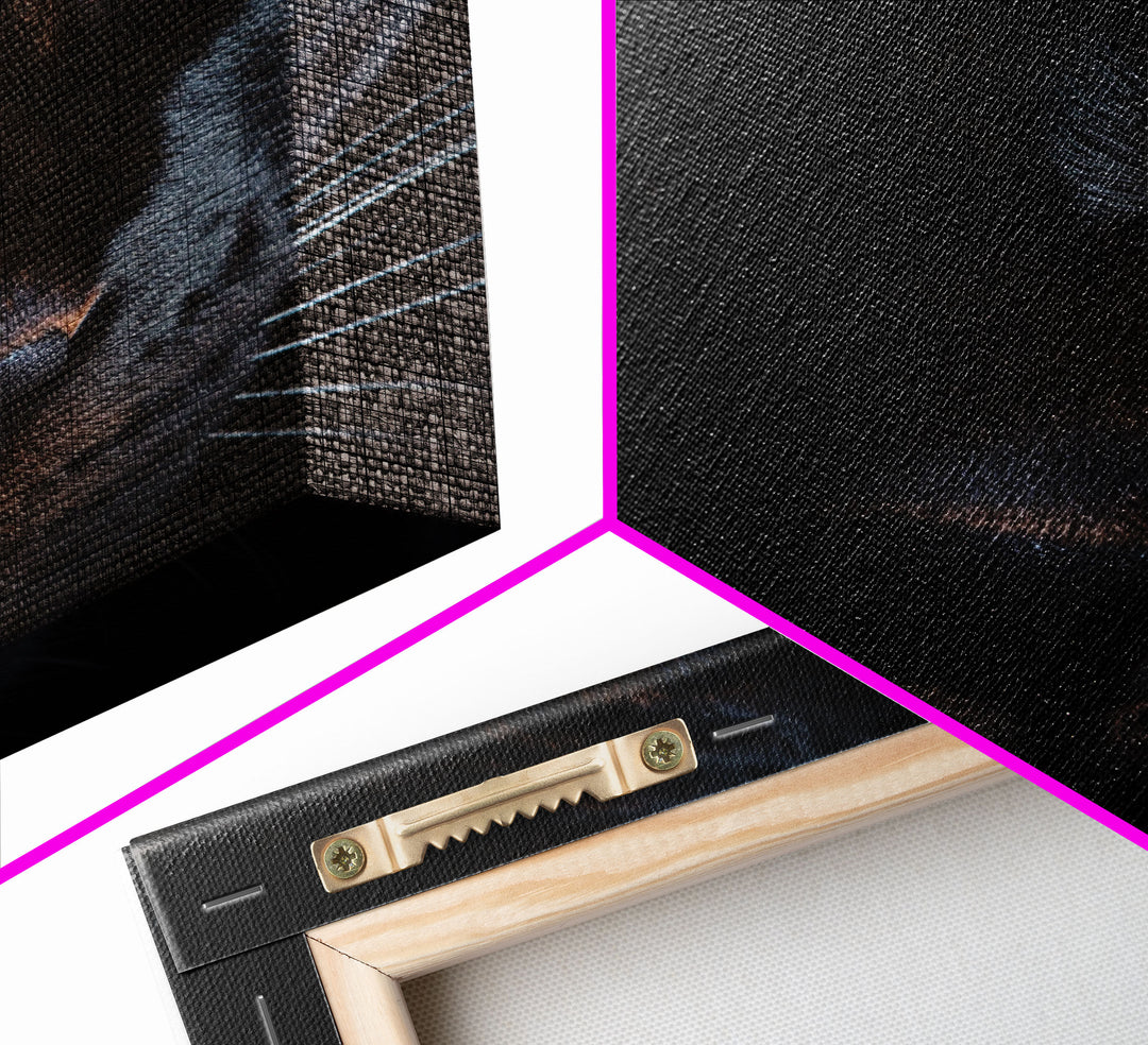 Portrait Of A Predator, Black Cat, Black Panther Photography, Framed Canvas Print, Wood Frame Wall Art