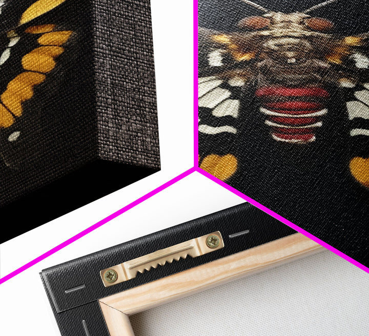 Framed Death Head Moth Canvas Print, Acherontia, Taxidermy Art, Dried Butterfly Print, Bug Wall Art Hanging Decor, Goth Art, Halloween Art