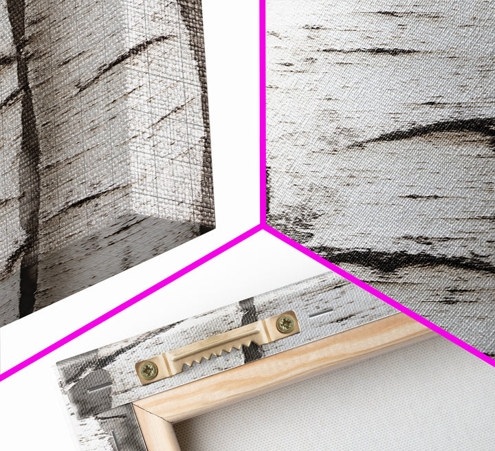 Classic Birch Trees Black and White Wall Art Framed Canvas Print Rustic Farmhouse Art Tall Narrow Art Guest Room Decor