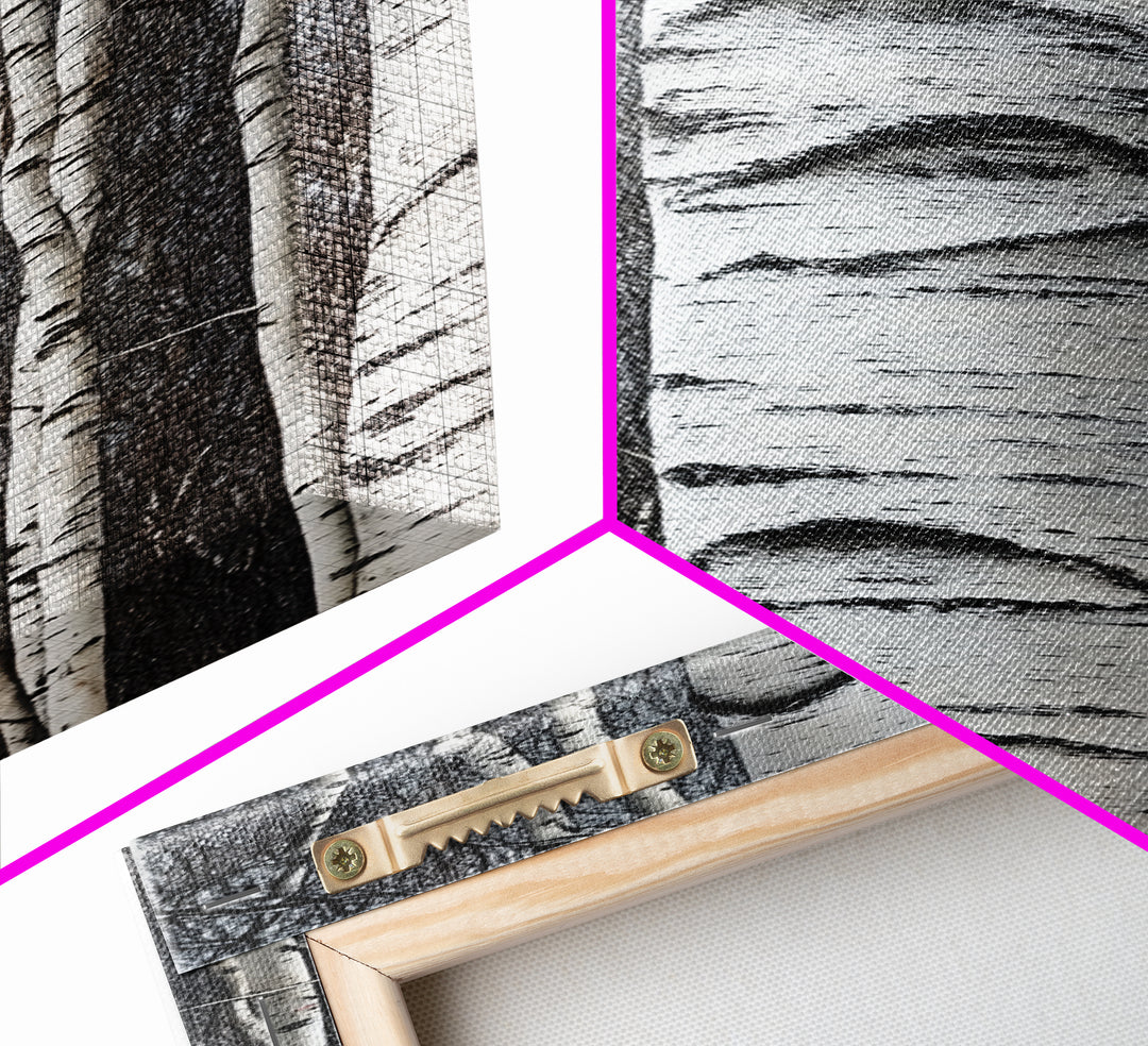 Birch Tree Forest Framed Canvas Print Rustic Nature Wall Art Farmhouse Rustic Bedroom or Living Room Decor