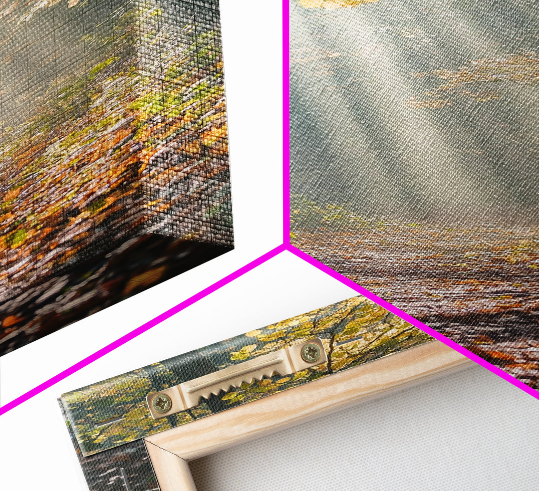 Sunlit Autumn Forest Path Canvas Print, Fall Wall Art, Nature Photography Print, Cozy Home Decor, Rustic Living Room Art, Cabin Wall Art