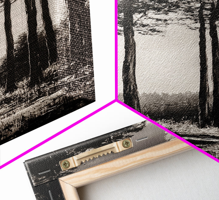 Black White Forest, Minimalist Wall Art, Monochrome Nature Print, Wooded Landscape, Moody Tree Art, Modern Home, Framed Canvas Print