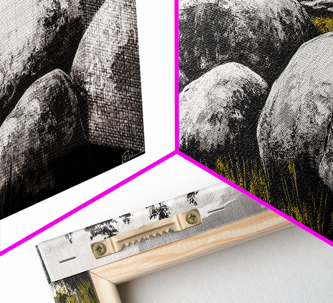 Boulder Landscape, Black and White, Nature Scene, Framed Canvas Print, Rustic Wall Art, Minimalist Decor, Wilderness Theme, Cabin Art