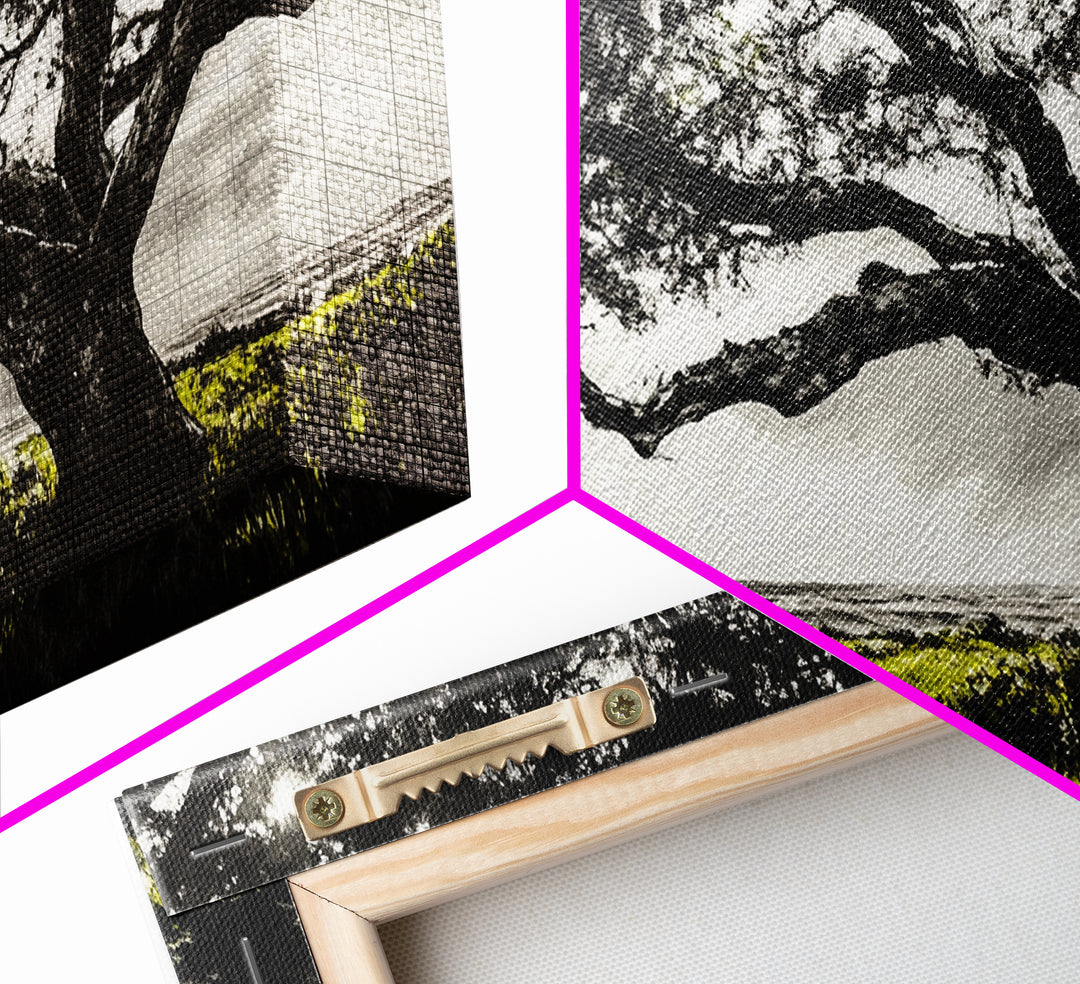 Oak Tree, Scenic Meadow, Black and White Landscape, Framed Canvas Print, Nature Wall Art, Large Canvas Artwork, Living Room Decor