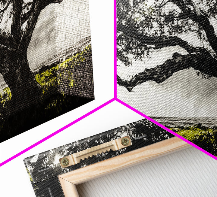 Oak Tree, Scenic Meadow, Black and White Landscape, Framed Canvas Print, Nature Wall Art, Large Canvas Artwork, Living Room Decor