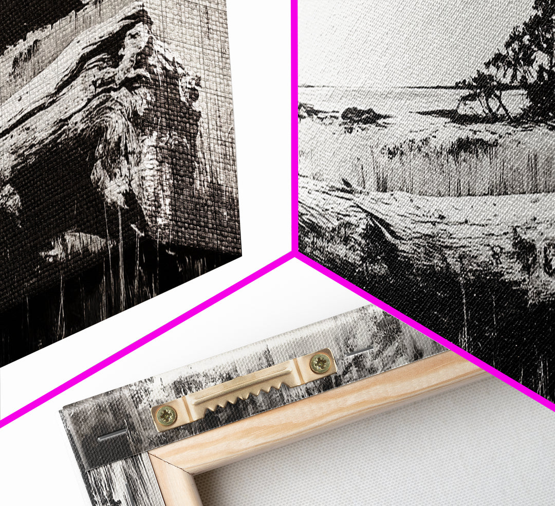 Driftwood Beach, Coastal Landscape, Framed Canvas Print, Black and White Wall Art, Nature Photography Style, Serene Home Decor, Bedroom Art