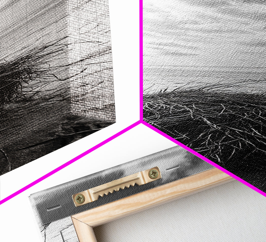 Beach Tumbleweed, Windy Dune, Coastal Drift, Seaside Simplicity, Monochrome Shoreline Framed Canvas Print, Bathroom Beach Wall Decor