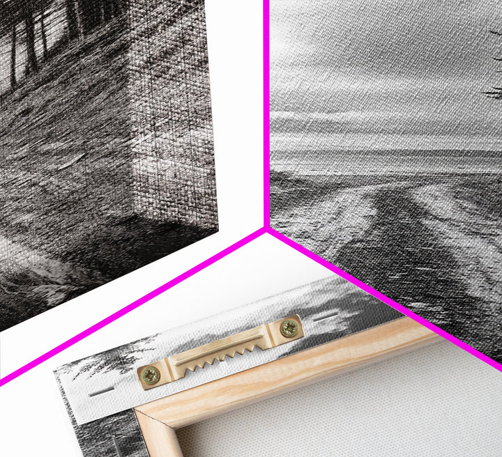 Coastal Forest Path, Nature Trail, Ocean View, Black and White, Framed Canvas Print, Entryway Wall Art, Rustic Decor, Landscape Photography