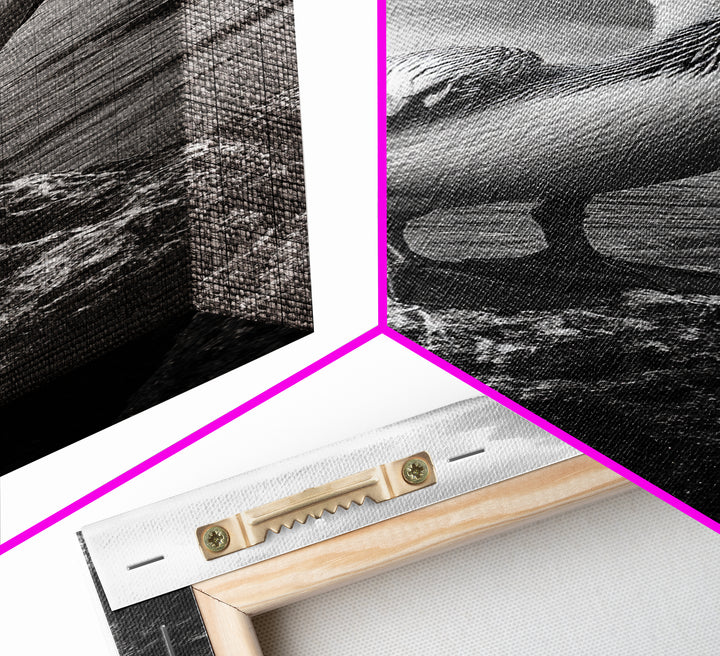 Coastal Bird Portrait, Ocean Wildlife, Nature Decor, Minimalist Art, Framed Canvas Print, Beach House Bathroom Wall Art, Living Room Art