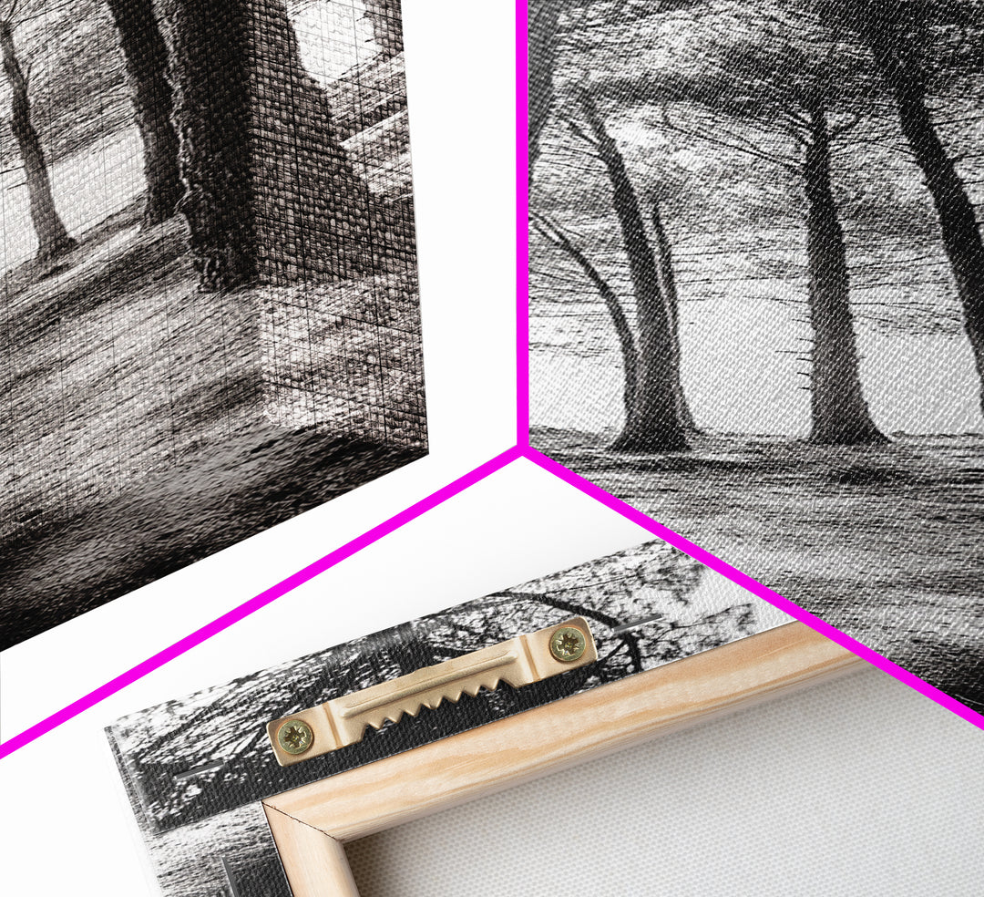 Pine Forest Glow, Woodland Landscape, Monochrome Nature, Boho Style, Framed Canvas Print, Entryway Print, Living Room Wall Art, Game Room Art
