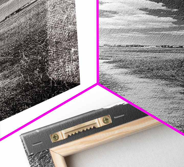 Countryside Trail View, Open Prairie Path, Farmhouse Nature, Framed Canvas Print, Entryway or Rustic Living Room Art, Beach House Decor