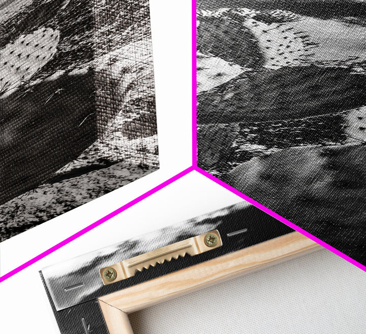 Desert Cactus Closeup, Prickly Pear Focus, Bold Nature Decor, Framed Canvas Print, Southwestern Kitchen Decor, Living Room Art