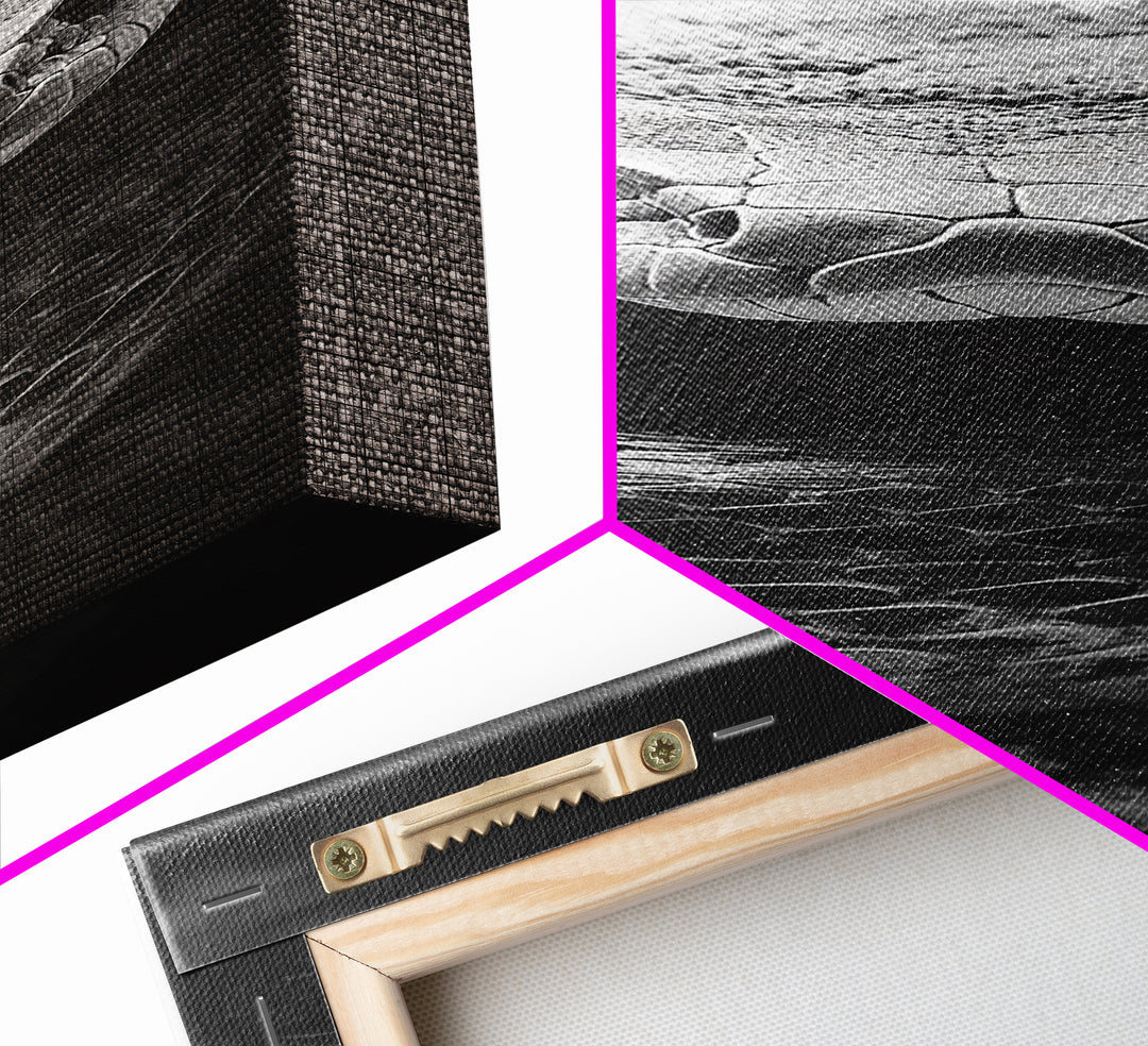 Coiled Snake, Wild Reptile, Black and White Snake, Fierce Eyes, Framed Canvas Print, Nature Lover Wall Art, Masculine Office Decor