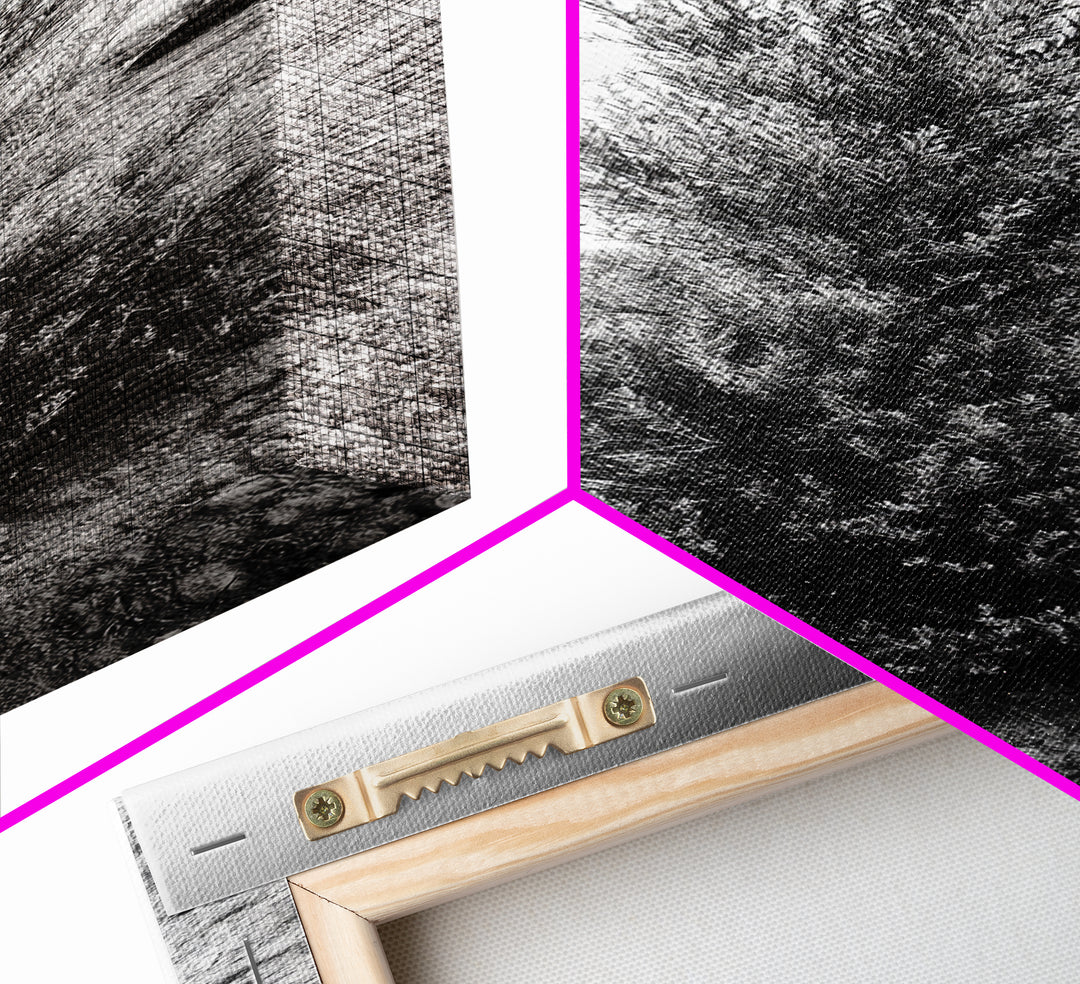 Desert Tree, Nature Minimalism, Solitary Landscape, Framed Canvas Print, Living Room Wall Art, Earth Tone Art, Tranquil Modern Decor